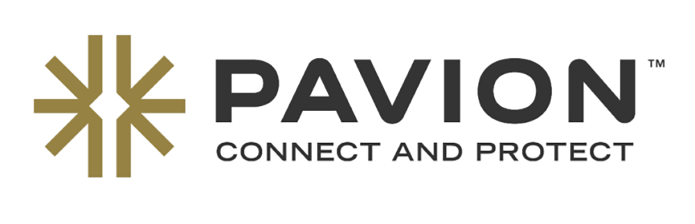 Pavion sharpens platform-first strategy, eyes renewed M&A push 